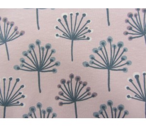 Jersey Wichtelkraut rosa grau